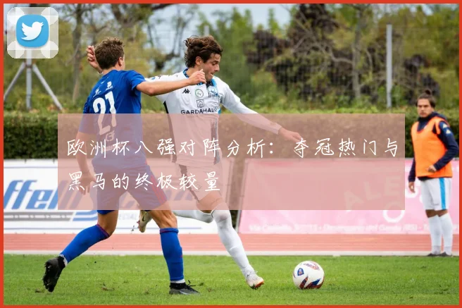 欧洲杯八强对阵分析：夺冠热门与黑马的终极较量